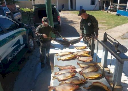 Polícia Ambiental apreende 136 kg de pescado em pousada à beira do rio Paraguai